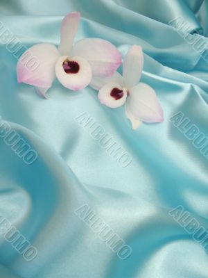 Orchid on blue satin - 1