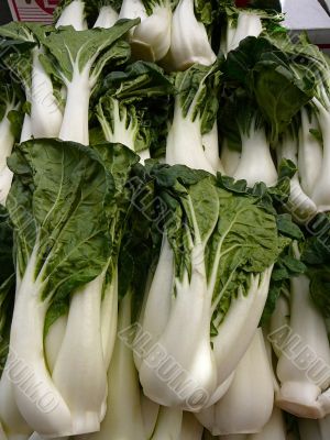 Bok Choy Greens