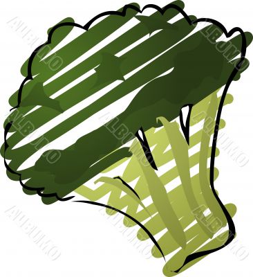 Brocolli illustration
