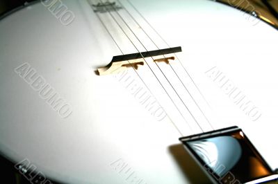 Musical Instrument