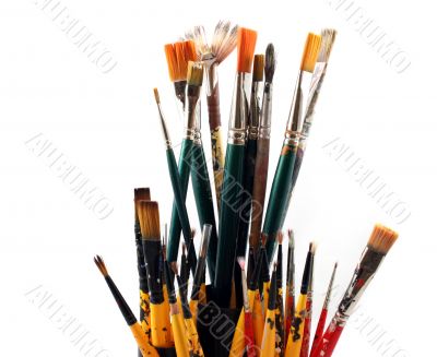 PaintBrushes on a white Background - Close up