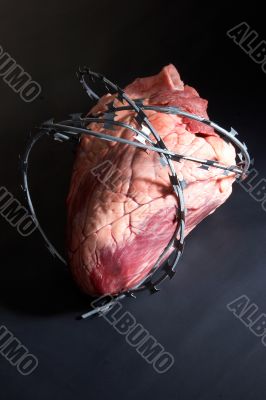 Heart wound  barbed wire.