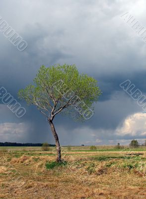 Before a thunderstorm