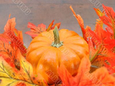 Autumn Harvest Pumpkin