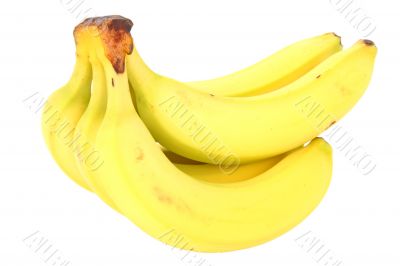 fresh bananas