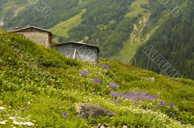 Turkish Village