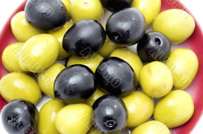 Olive background