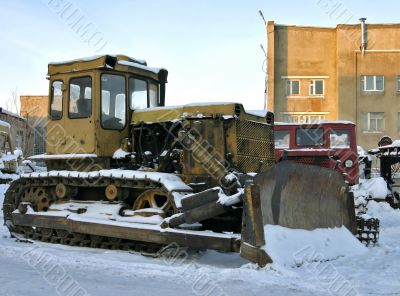 caterpillar in a winter season