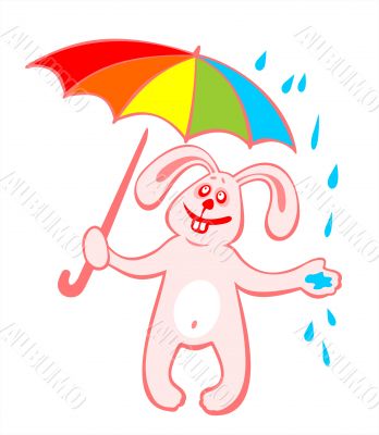 Cheerful rabbit and umbrella
