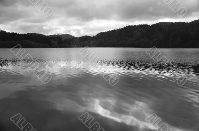 Dark Water