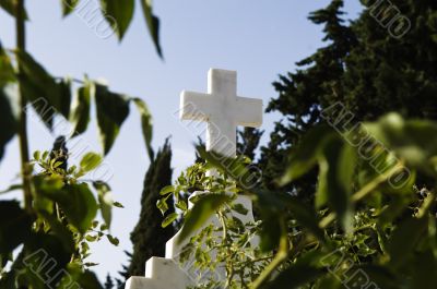 Cross between the trees