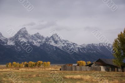 Autumn, Grand Tetons Autumn, Grand Tetons