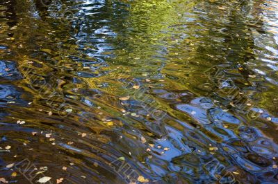 Water autumn background
