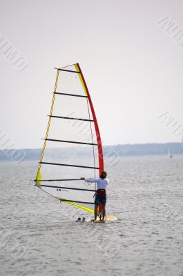 Windsurfer