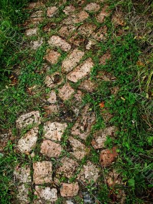 brick road and green grass brick road and green grass
