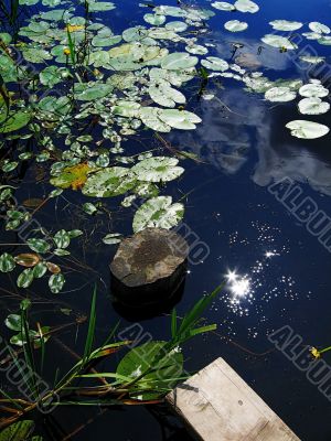 hot windless midday, reflection in water