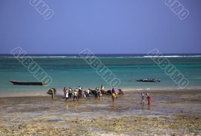 Locals buying fish on the beach