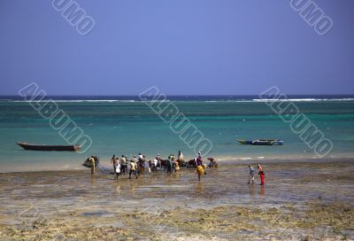 Locals buying fish on the beach Locals buying fish on the beach