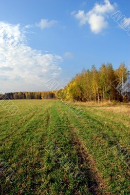 Autumn landscape