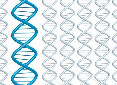 dna strands dna strands