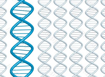 dna strands