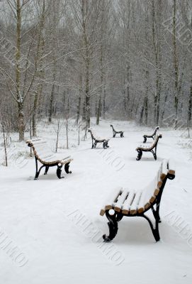 Snowfall in the park