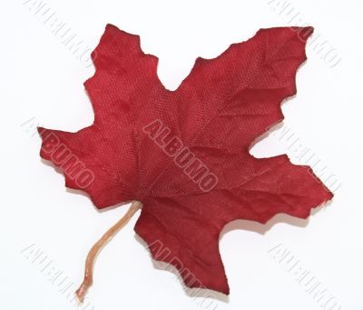 Red Canadian Maple Leaf Over White