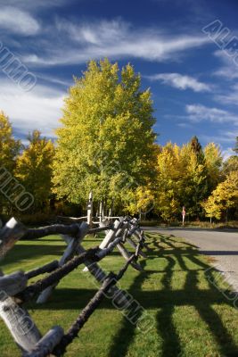 Autumn road and rail fence