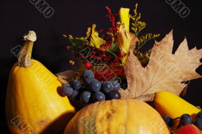 Autumn pumpkin composition Autumn pumpkin composition