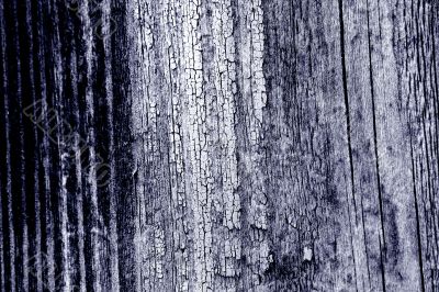 Wood texture