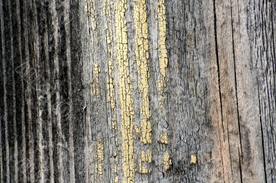 Wood texture