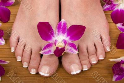 Feet and Orchids