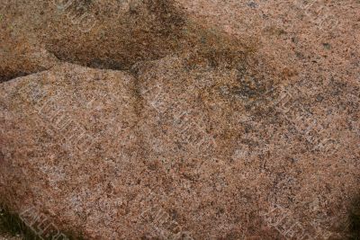 Lichen &amp; moss on pink granite