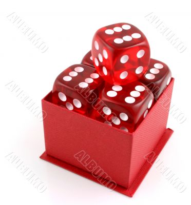 5 Dice in a Box