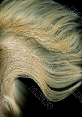 Blonde long Hair