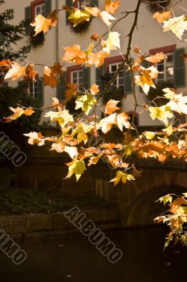 European Castle in Fall