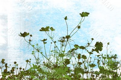 Great for textures and backgrounds