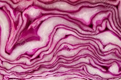 Red cabbage
