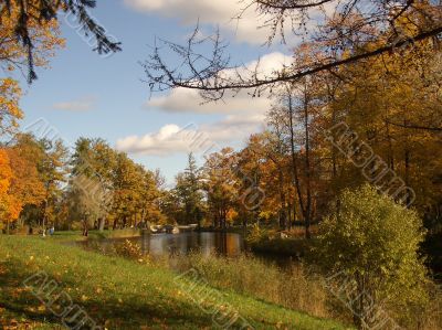 autumn autumn