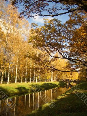 Autumn Autumn