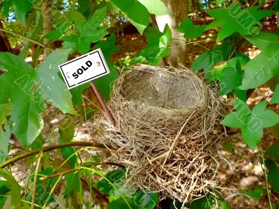 bird nest - real estate 4