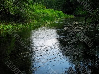 forest river