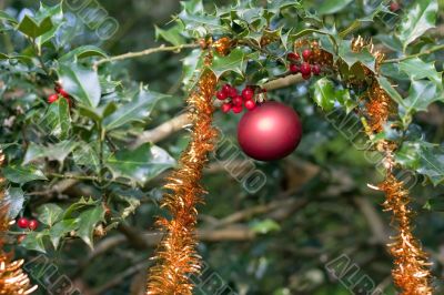 ball and garland on holly