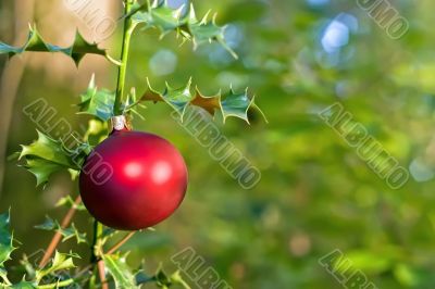 christmas ball and holly