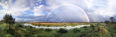 Rainbow on wood after rain