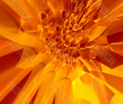 Fiery flower