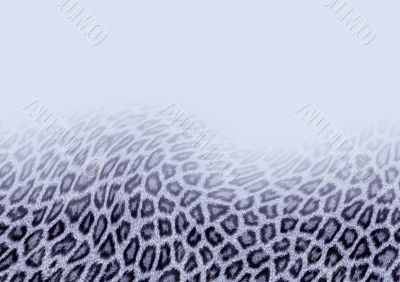 Leopard fur background