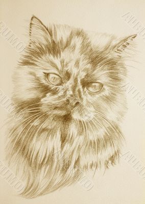 Persian sepia portrait