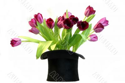 Black hat on white with tulips