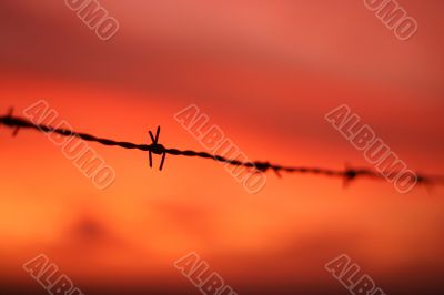 Barbed wire at sunset